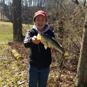 Meet your Posher, Spencer